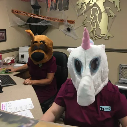 Front Desk Staff With a Unicorn Head and a Scooby-Doo Head